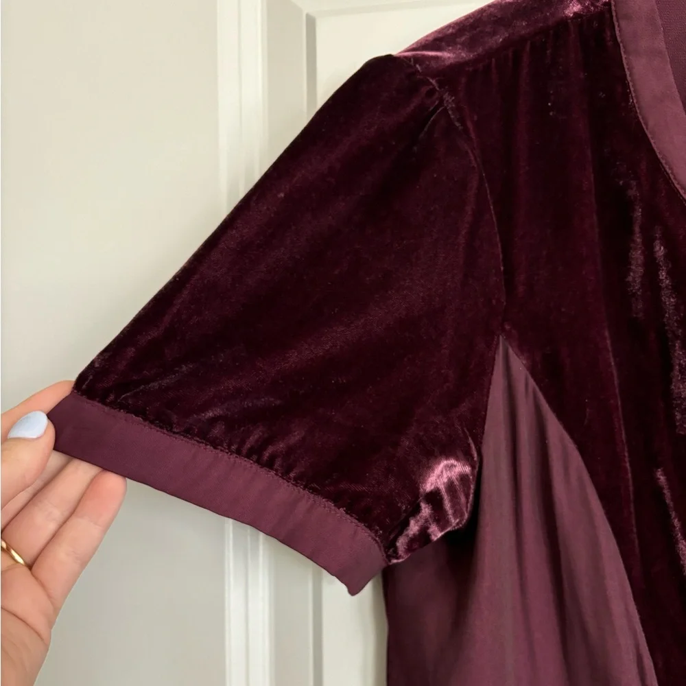 Anthropology Mauve Dress with Velvet - Picture 4 of 8